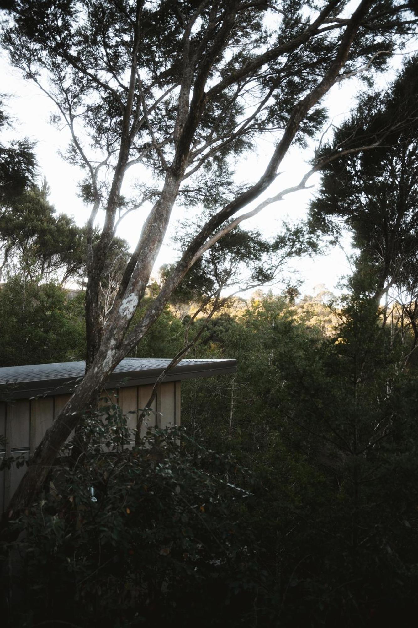Treehouse Hideaway At Rekindle Tree Houses Opua ภายนอก รูปภาพ